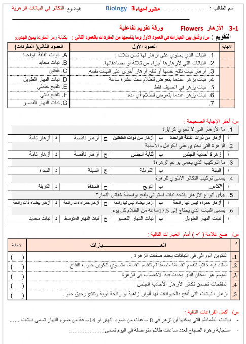ورقــة عمل النباتات الزهرية 1