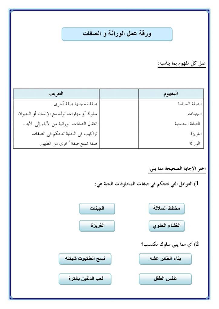 ورقة عمل الوراثة والصفات 1