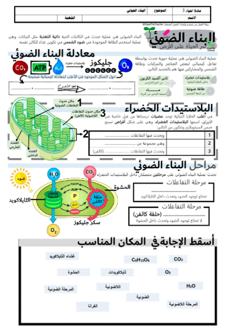 ورقة عمل البناء الضوئي أحياء ٣ 1