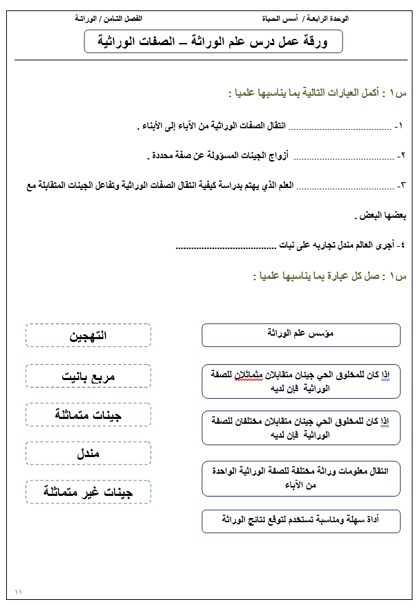 ورقة عمــل الوراثة والصفات 2