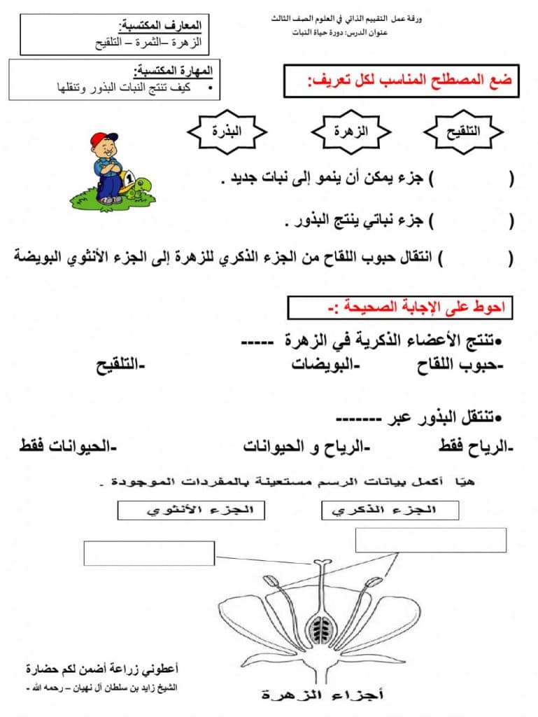 ورقة عمل دورة حياة النبات 2