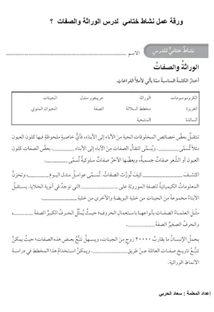 ورقة عمــل الوراثة والصفات 3