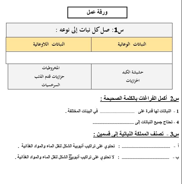 اوراق عمل علوم ثاني متوسط ف3 6