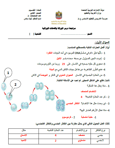 ورقة عمــل الوراثة والصفات 4