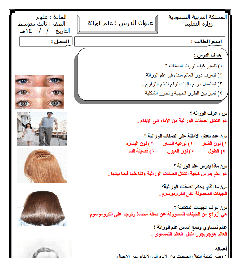 ورقة عمــل الوراثة والصفات 6