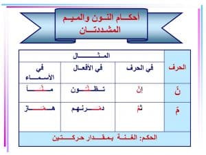 ورقة عمل النون والميم المشددتين