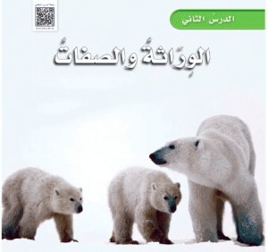 ورقة عمل الوراثة والصفات
