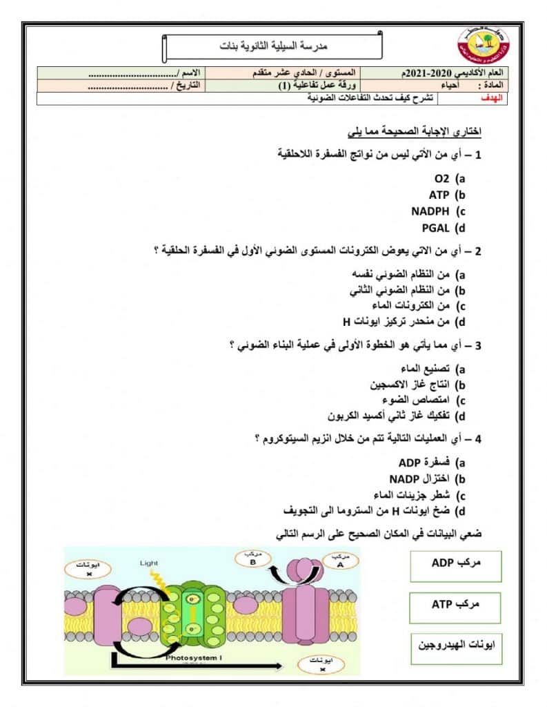 ورقة عمل البناء الضوئي أحياء ٣ 3