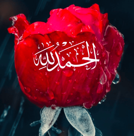فضل الحمد لله صيد الفوائد