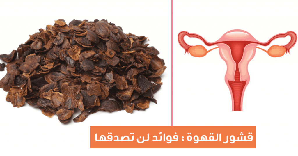 قشر القهوة للتكيسات