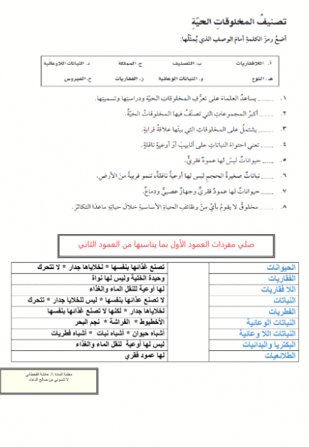 ورقة عمــل تصنيف المخلوقات الحية 4