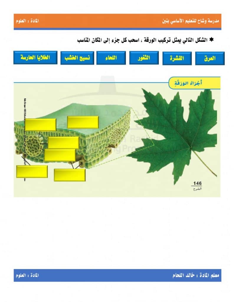 ورقة عمل البناء الضوئي أحياء ٣ 4