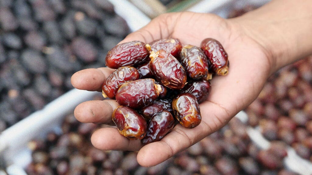 هل التمر مفيد في شلل الرعاش