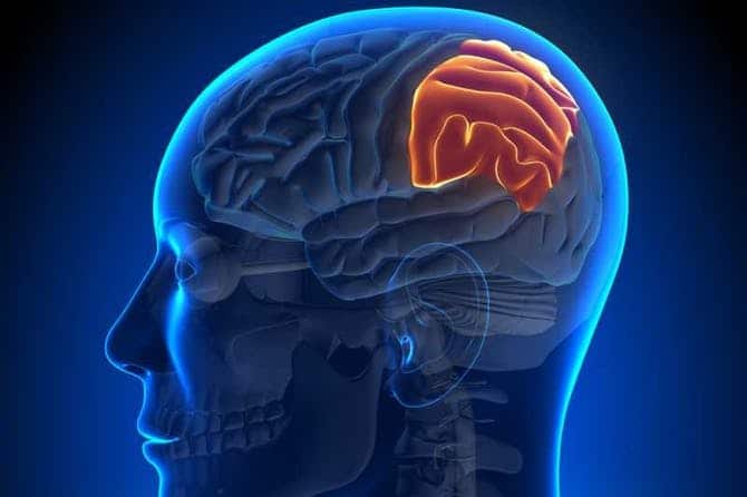 تجربتي مع ورم الدماغ
