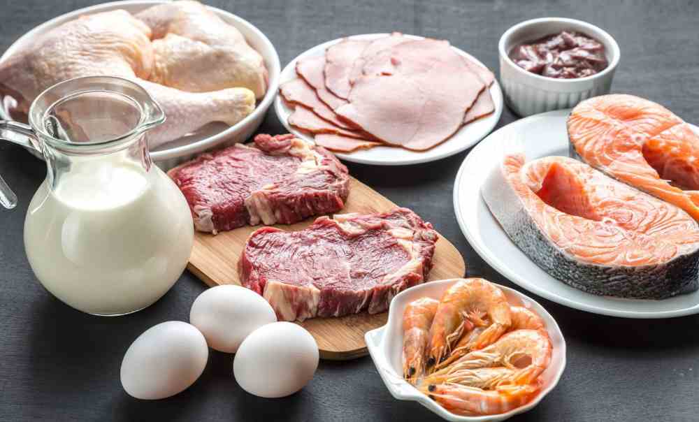تجربتي مع نقص البروتين s