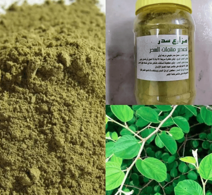 فوائد شرب مغلي ورق السدر للسحر