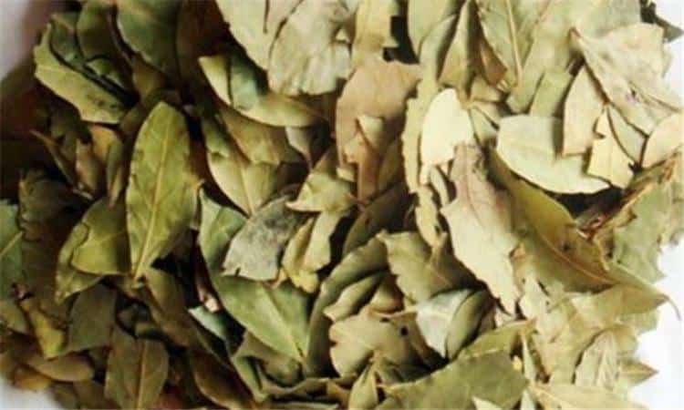 أعراض السحر بعد الاغتسال بالسدر