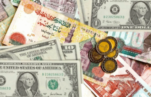 مميزات وعيوب تعويم العملة