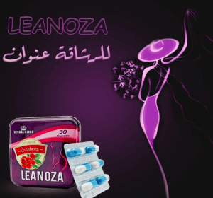 مميزات وعيوب لينوزا