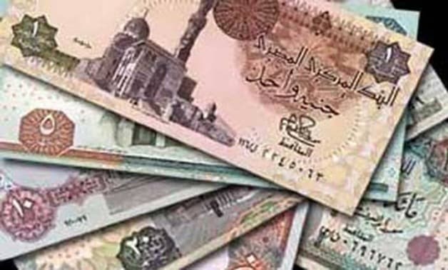 ما معنى تعويم الجنيه