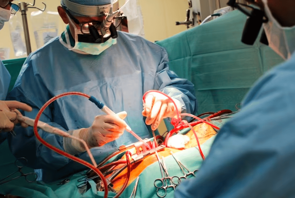 مميزات وعيوب تخصص طب القلب