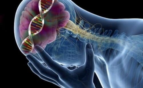 علاج نقص السيروتونين في الدماغ
