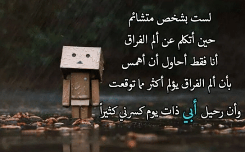 في مثل هذا اليوم ذكرى وفاة ابي