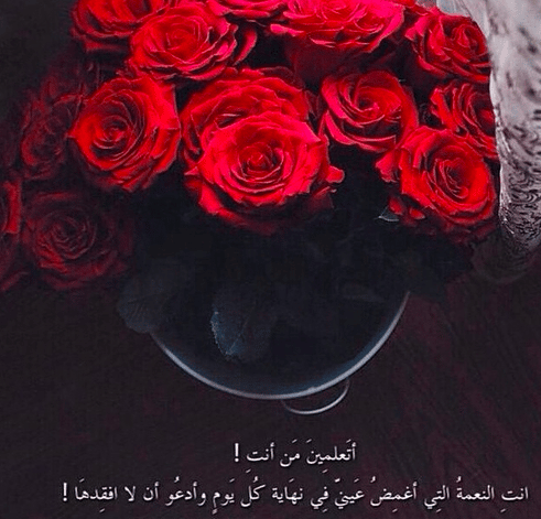صورمكتوب عليها كلام حب جامد اوى 4