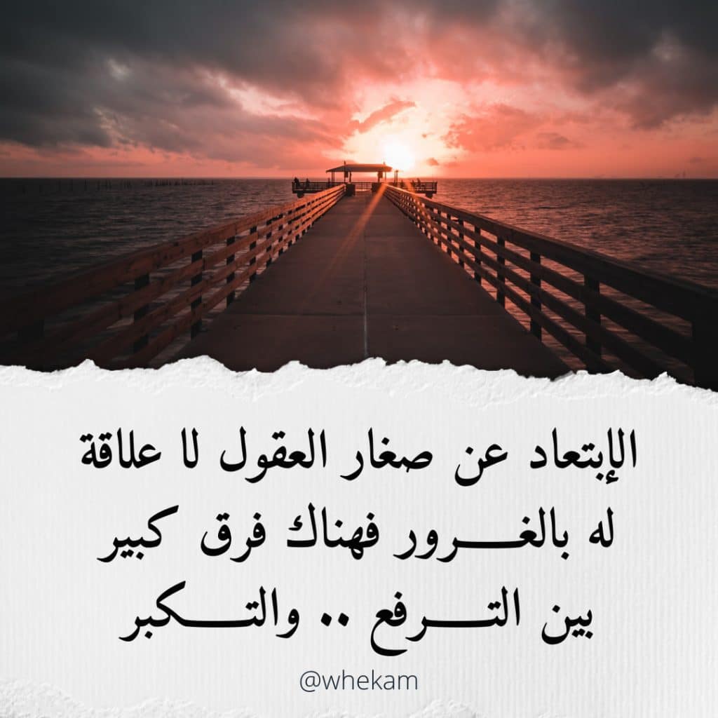 كلمات في الصميم للعقول الراقية فيس بوك 1