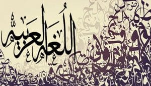 تدريبات على التشبيه