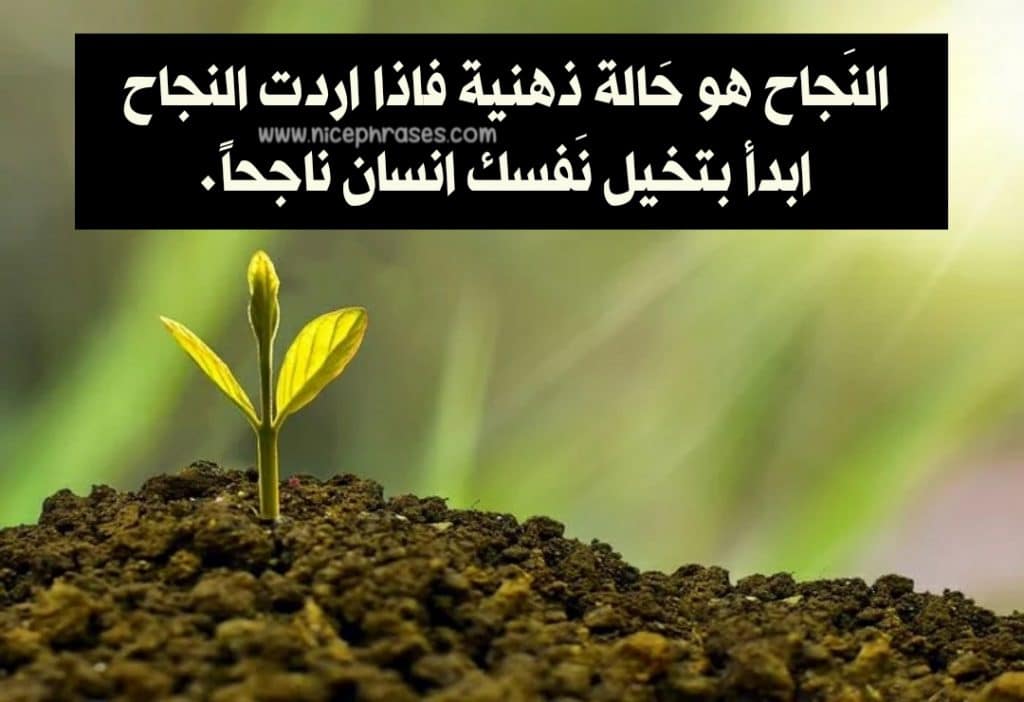 عبارات عن النجاح والتميز تويتر 2