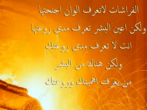 كلام فـي الصميم عن الحياة تويتر 2