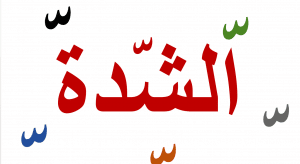 تدريبات على الشدة والتنوين