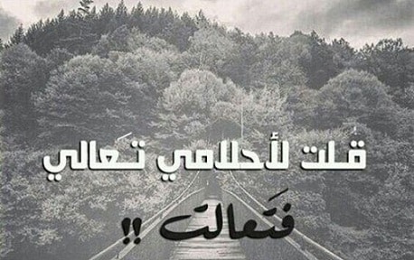 كلام فـي الصميم عن الحياة تويتر 4