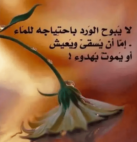 كلمات في الصميم للعقول الراقية فيس بوك 4