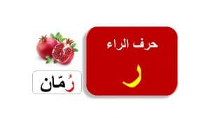 تدريبات على حرف الراء
