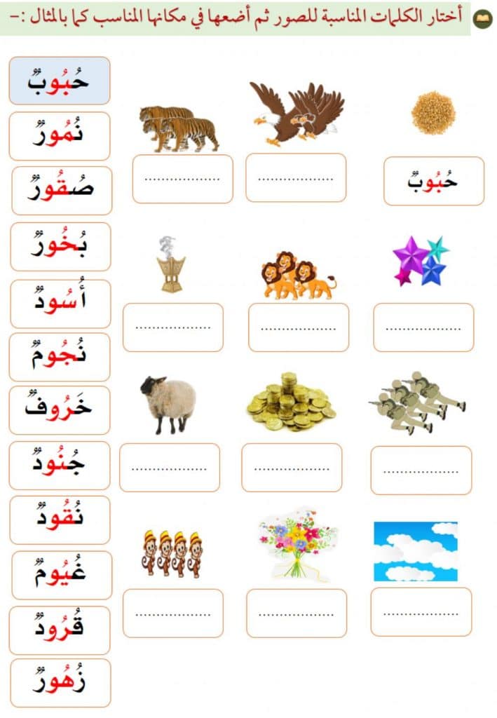 تدريبات على المد بالواو