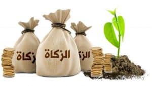 تدريبات على الزكاة