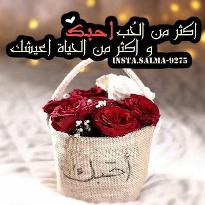 ورد مكتوب عليها كلام حب 1