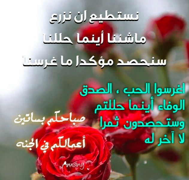 ورد مكتوب عليها كلام حب 4