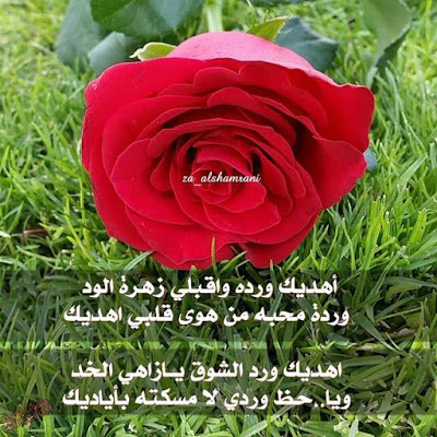 ورد مكتوب عليها كلام حب 3