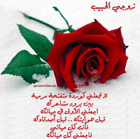 ورد مكتوب عليها كلام حب 5