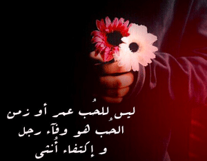 كلام في الصميم عن الحبيب