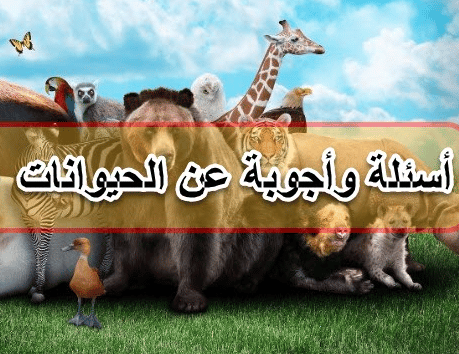 اسئلة عن الحيوانات