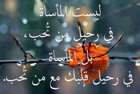 اجمل كلام الحب والفراق
