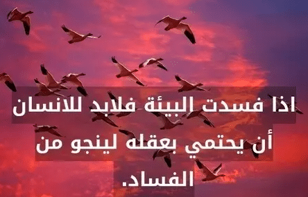كلمات في الصميم عن الفساد
