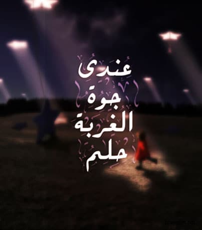 كلام عن الصداقة في الغربة
