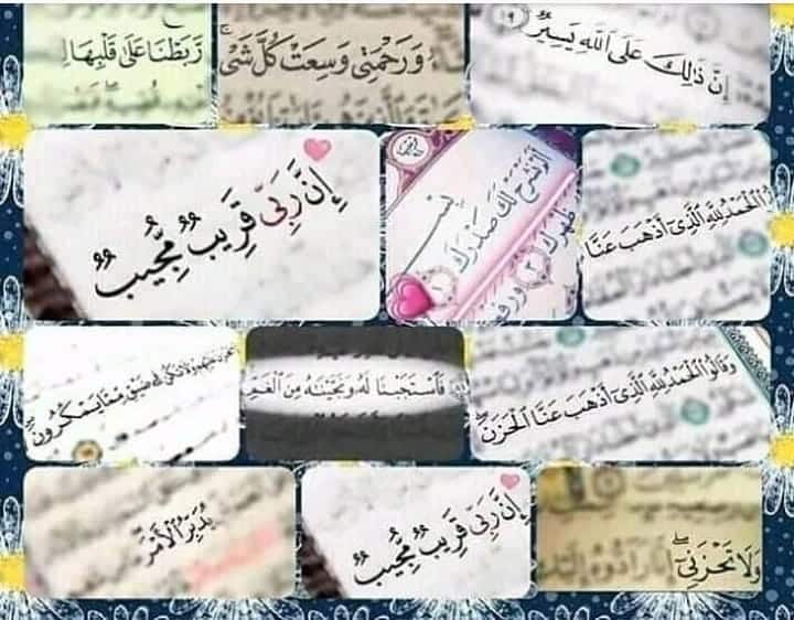 كلمات في الصميم للعقول الراقية فيس بوك