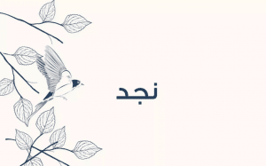 وش رايكم باسم نجد
