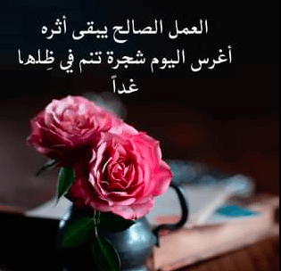كلمات في الصميم عن العمل